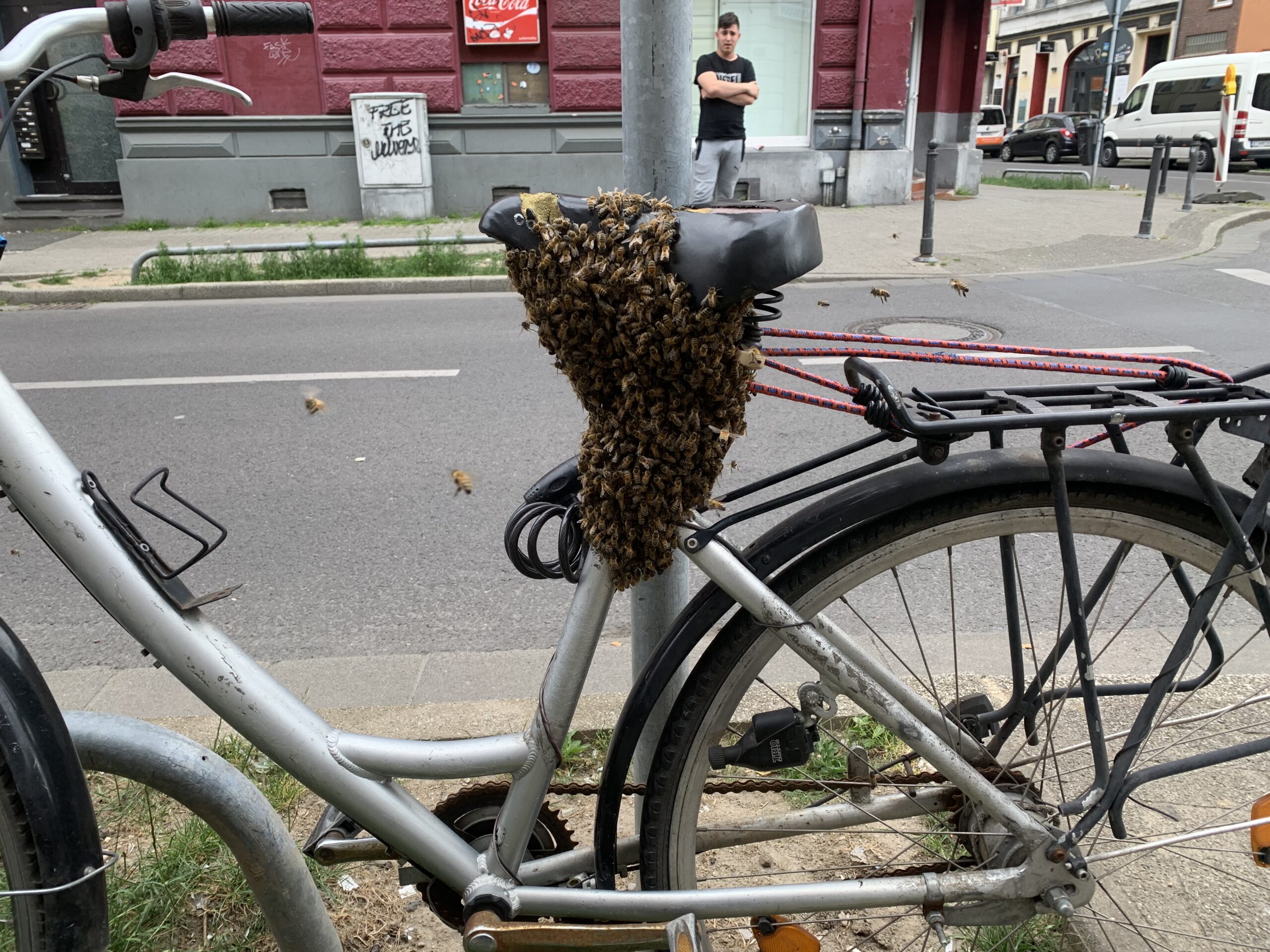 Bienenschwarm in Krefeld Rettung von einem Fahrrad